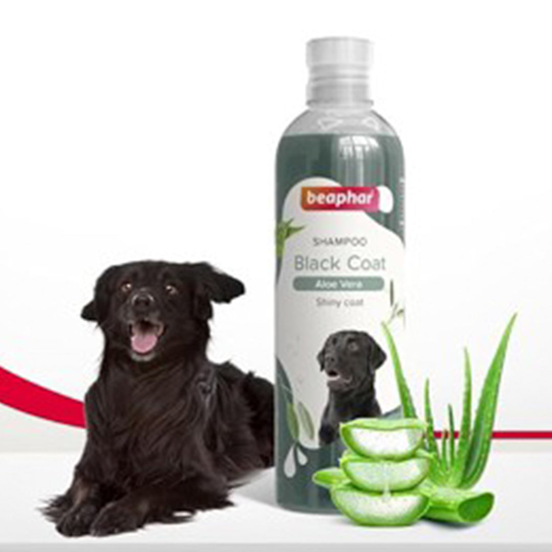 Beaphar Black Coat Shampoo for Dogs 250 ml