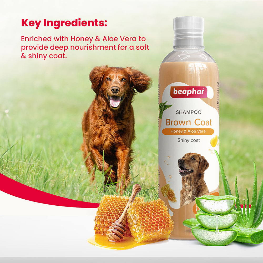 Beaphar Brown Coat Shampoo for Dogs 250 ml