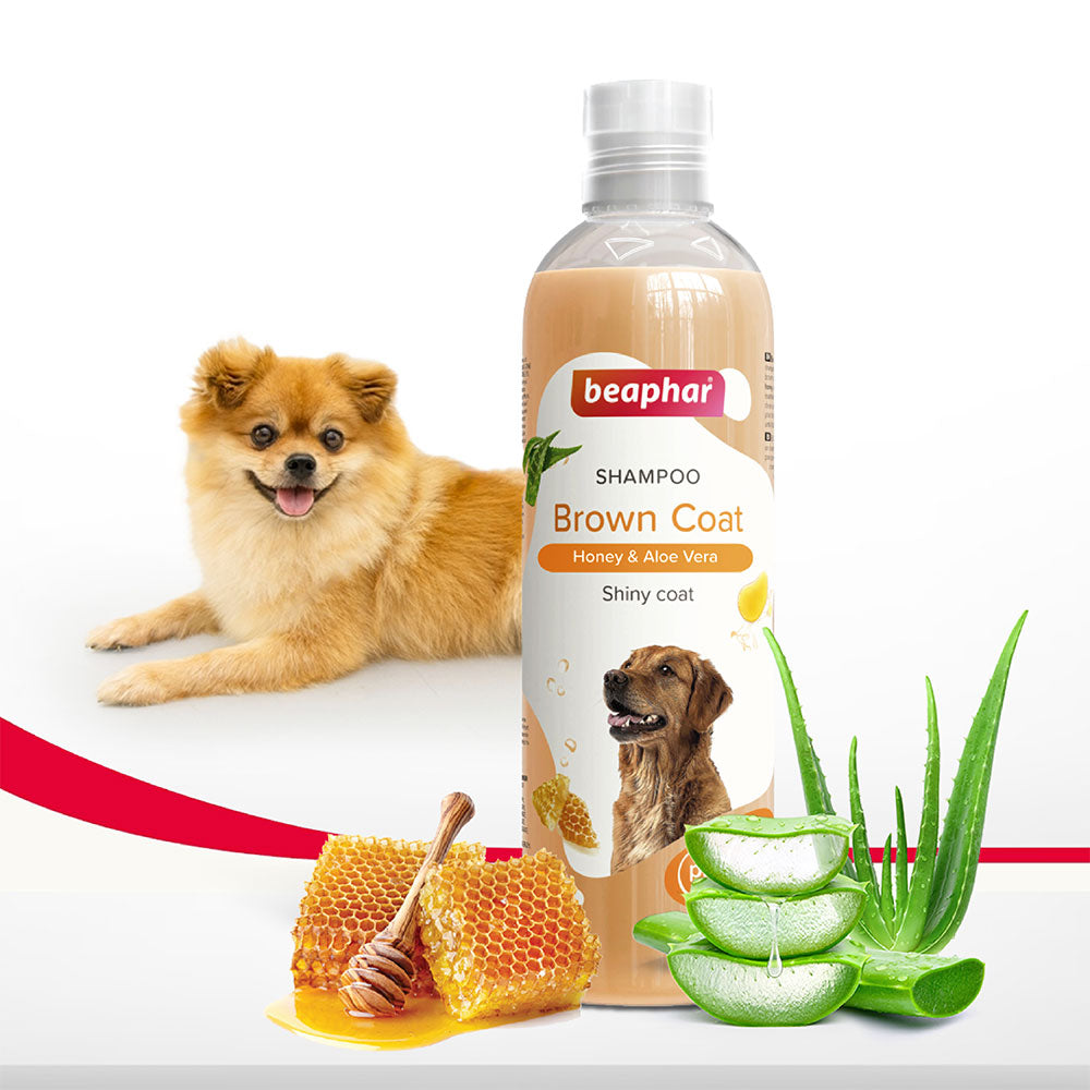 Beaphar Brown Coat Shampoo for Dogs 250 ml