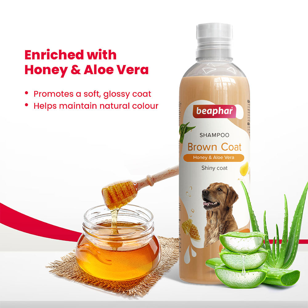 Beaphar Brown Coat Shampoo for Dogs 250 ml