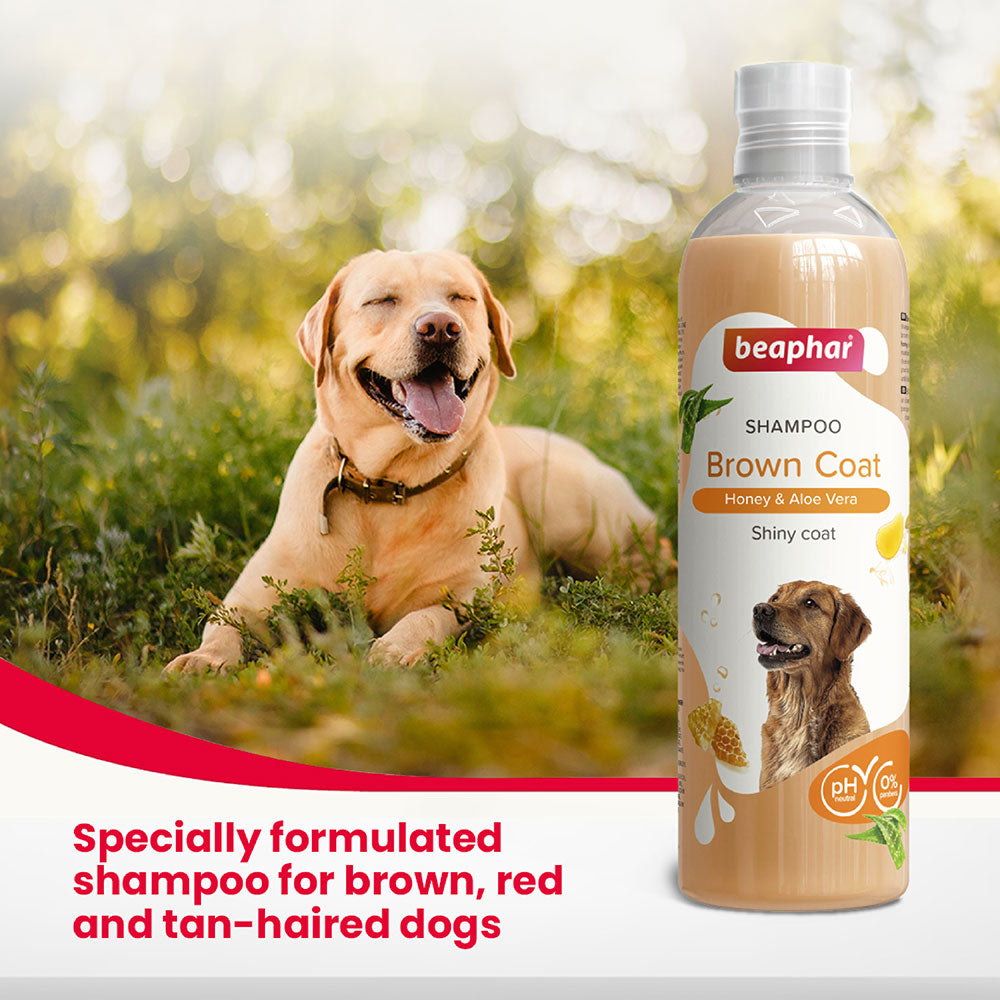 Beaphar Brown Coat Shampoo for Dogs 250 ml