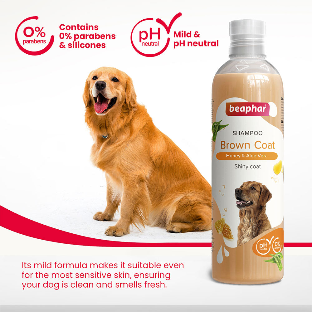 Beaphar Brown Coat Shampoo for Dogs 250 ml