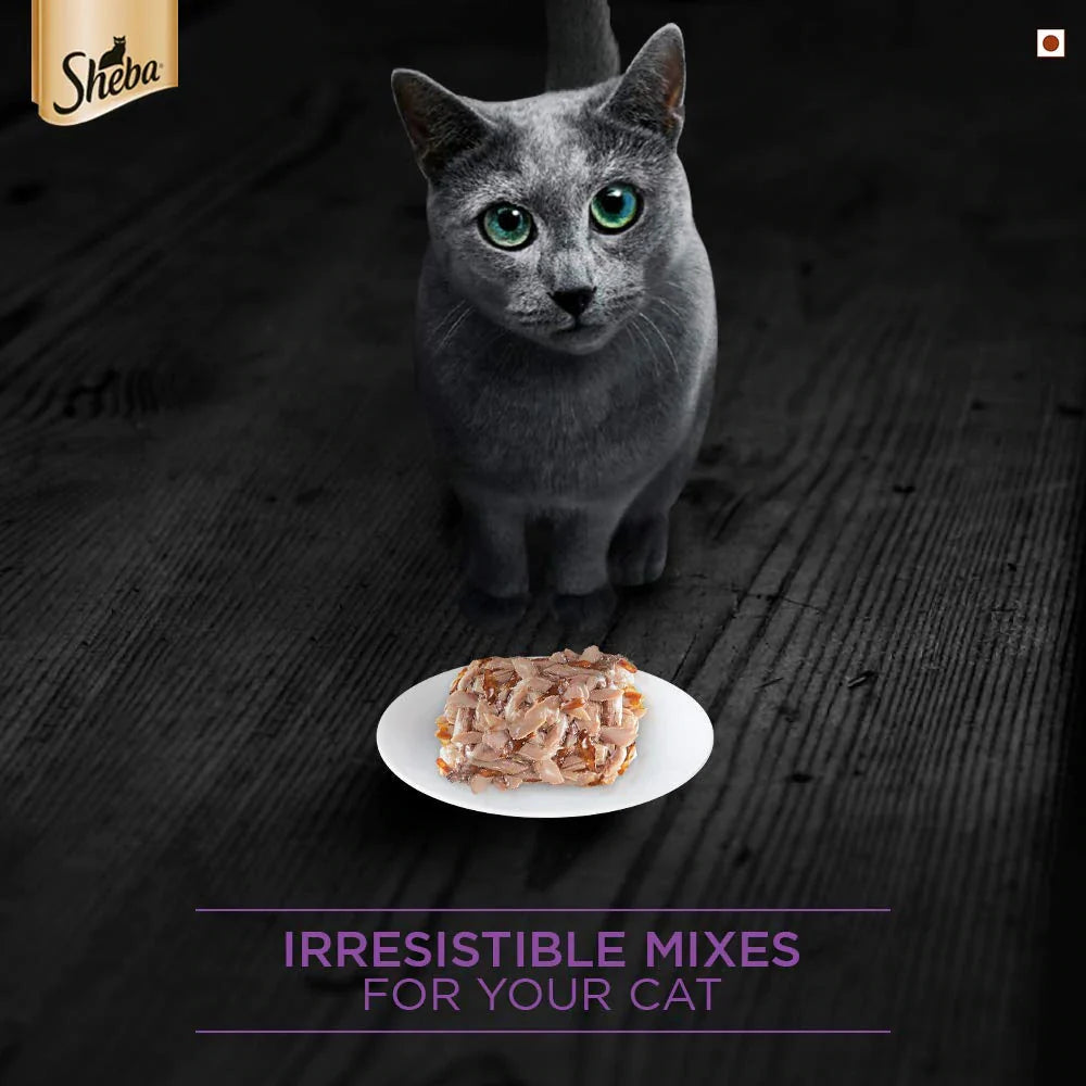 Sheba Premium Wet Food Gravy Tin For Cats - Tuna Filets In Jelly