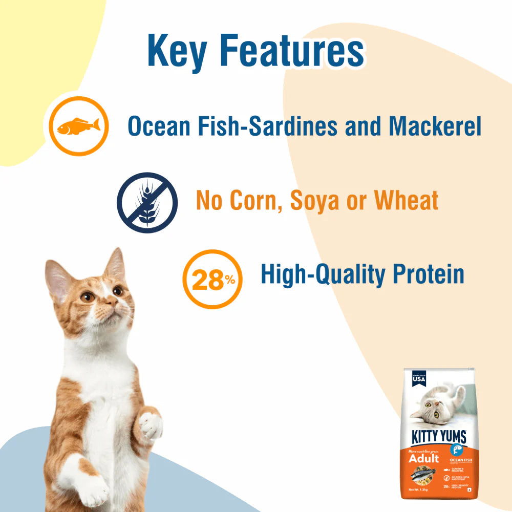 Kitty Yums Dry Food for Adult Cats All Breeds - Ocean Fish
