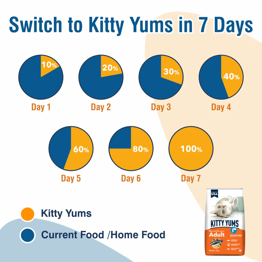 Kitty Yums Dry Food for Adult Cats All Breeds - Ocean Fish