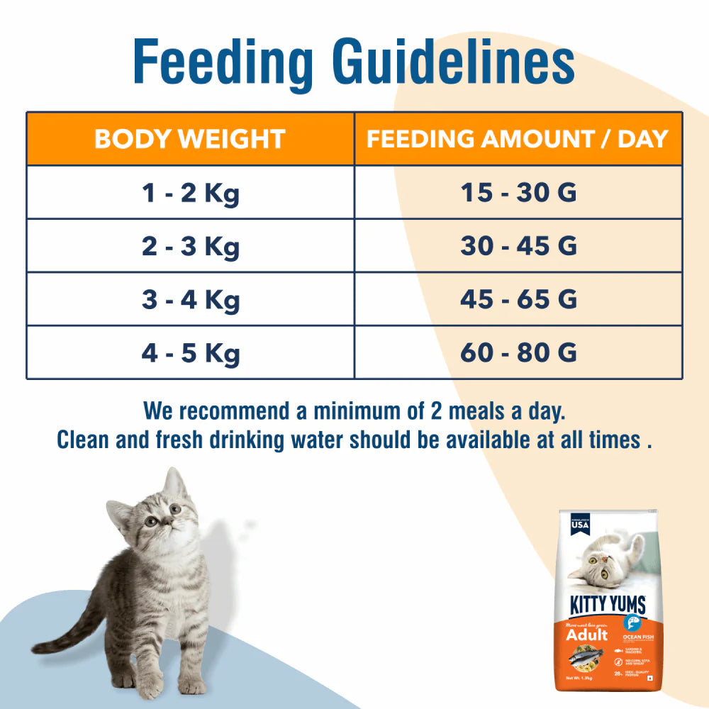 Kitty Yums Dry Food for Adult Cats All Breeds - Ocean Fish