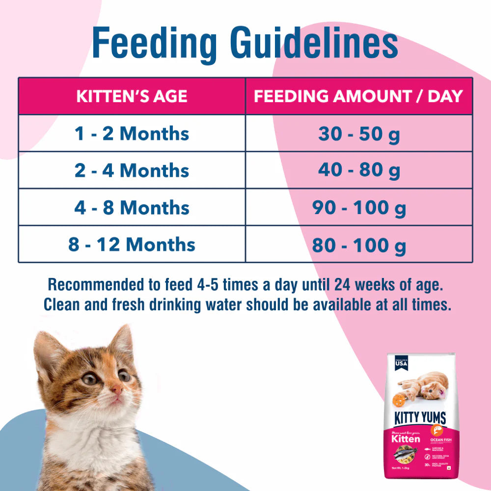 Kitty Yums Dry Food for Kitten - Ocean Fish
