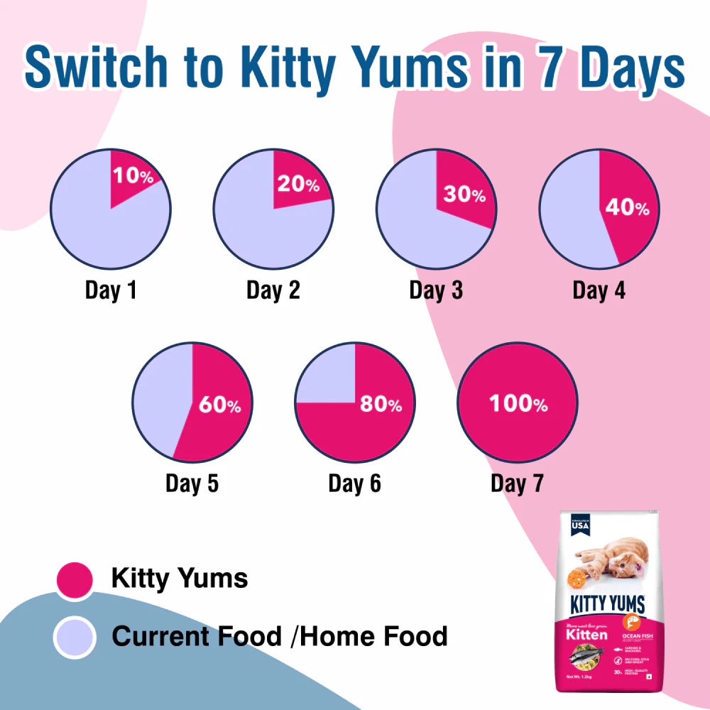 Kitty Yums Dry Food for Kitten - Ocean Fish