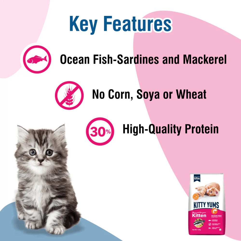 Kitty Yums Dry Food for Kitten - Ocean Fish
