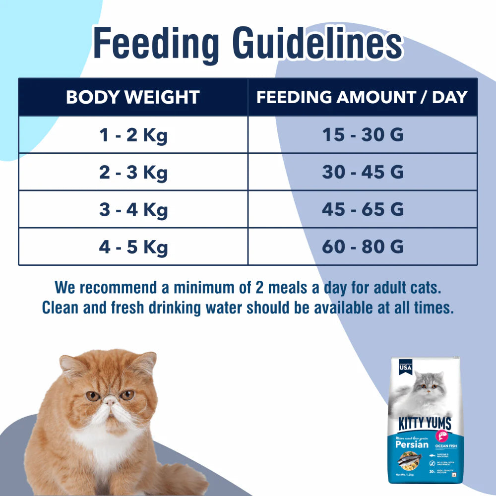 Kitty Yums Dry Food for Persian Cats - Ocean Fish