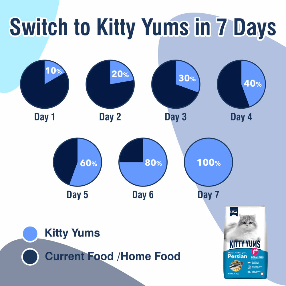 Kitty Yums Dry Food for Persian Cats - Ocean Fish