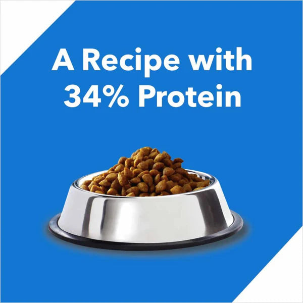 Drools Dry Food for Kittens - Ocean Fish