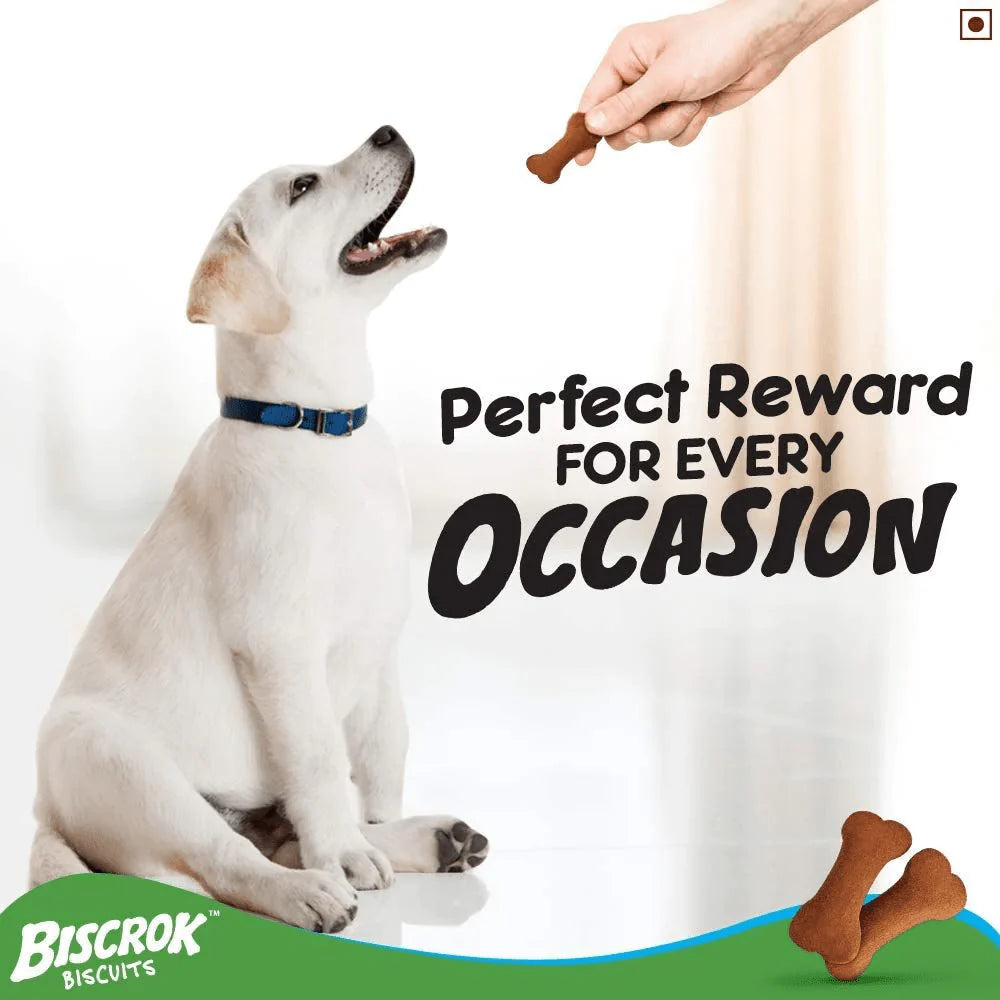 Pedigree Biscrok Biscuits For Dogs 500 gm - Chicken