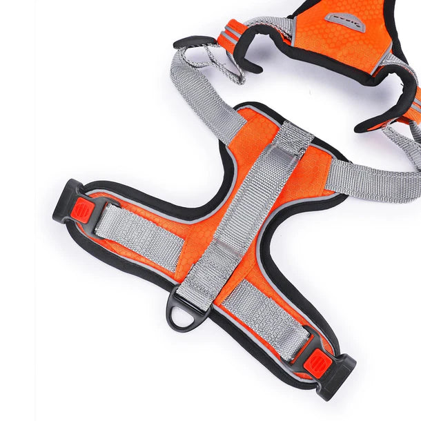 Basil No-Pull Vest Reflective Handle Full Body Belt / Harness - Orange