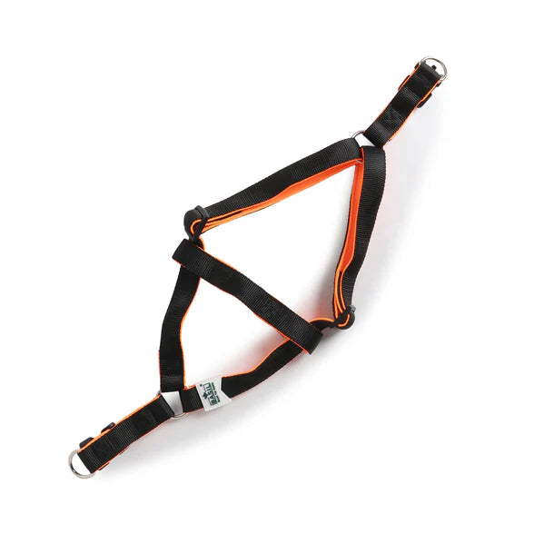 Basil Padded Adjustable Harness / Body Belt for Dogs & Puppies (Black)