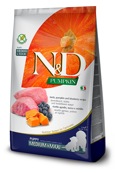 N&D Pumpkin Dry Food for Dogs - Maxi Puppy ( Lamb & Blueberry )