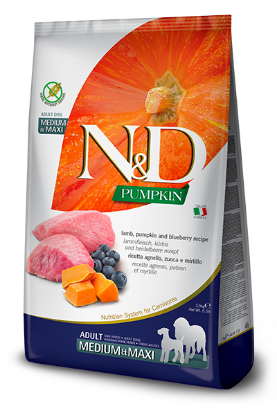 N&D Pumpkin Dry Food for Dogs - Maxi Adult ( Lamb & Blueberry )