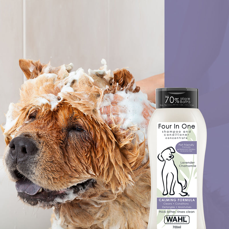 Wahl Shampoo for Dogs - Four in One