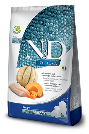 N&D Ocean Dry Food for Dogs - Maxi Puppy ( COD Pumpkin & Orange )
