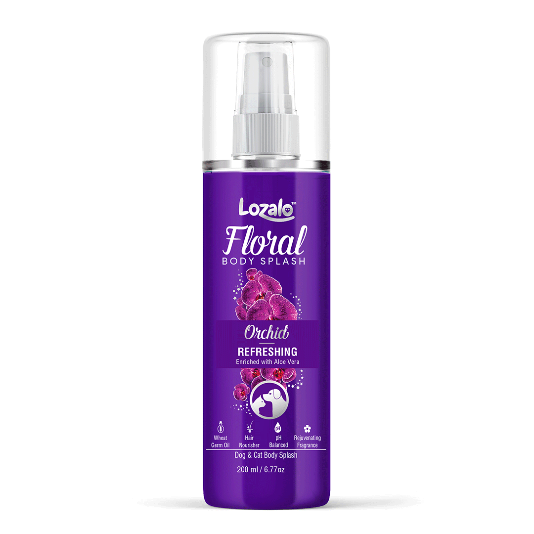 Lozalo Floral Body Splash Perfume 200 ml (Orchid)
