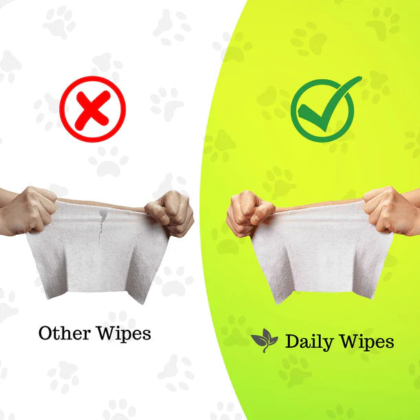 BASIL Daily Wipes, All Purpose Pet Grooming Wet Wipes for Dogs & Cats - 80 Wipes