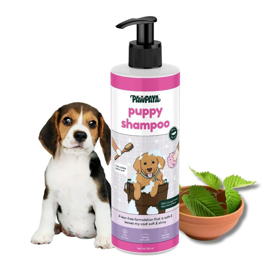 Pawpaya Puppy Shampoo for Dogs 250 ml