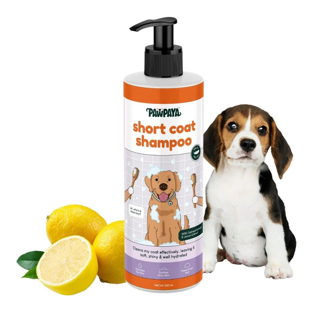 Pawpaya Short Coat Shampoo for Dogs 250 ml