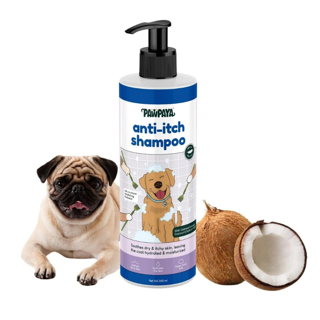 Pawpaya Anti Itch Shampoo for Dogs 250 ml