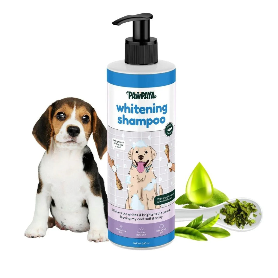 Pawpaya Whitening Shampoo for Dogs 250 ml