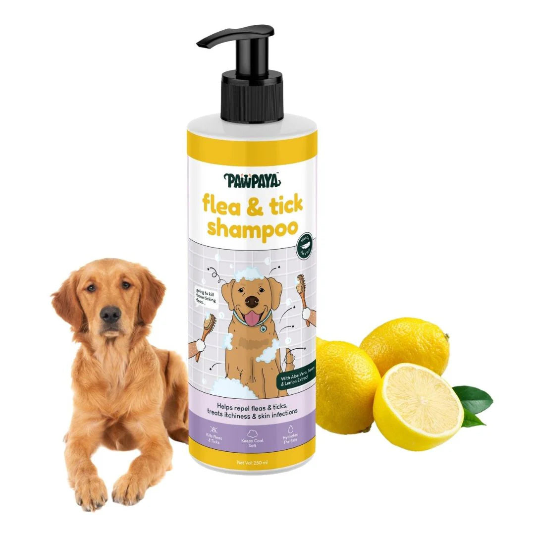 Pawpaya Flea & Tick Shampoo for Dogs 250 ml