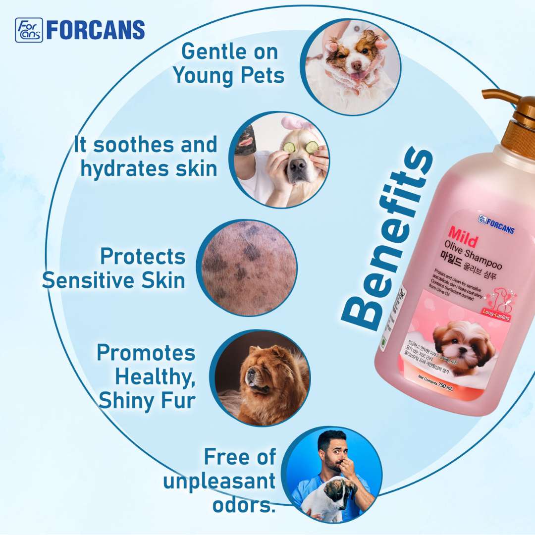 Forcans Mild Olive Shampoo for Dogs 750 ml