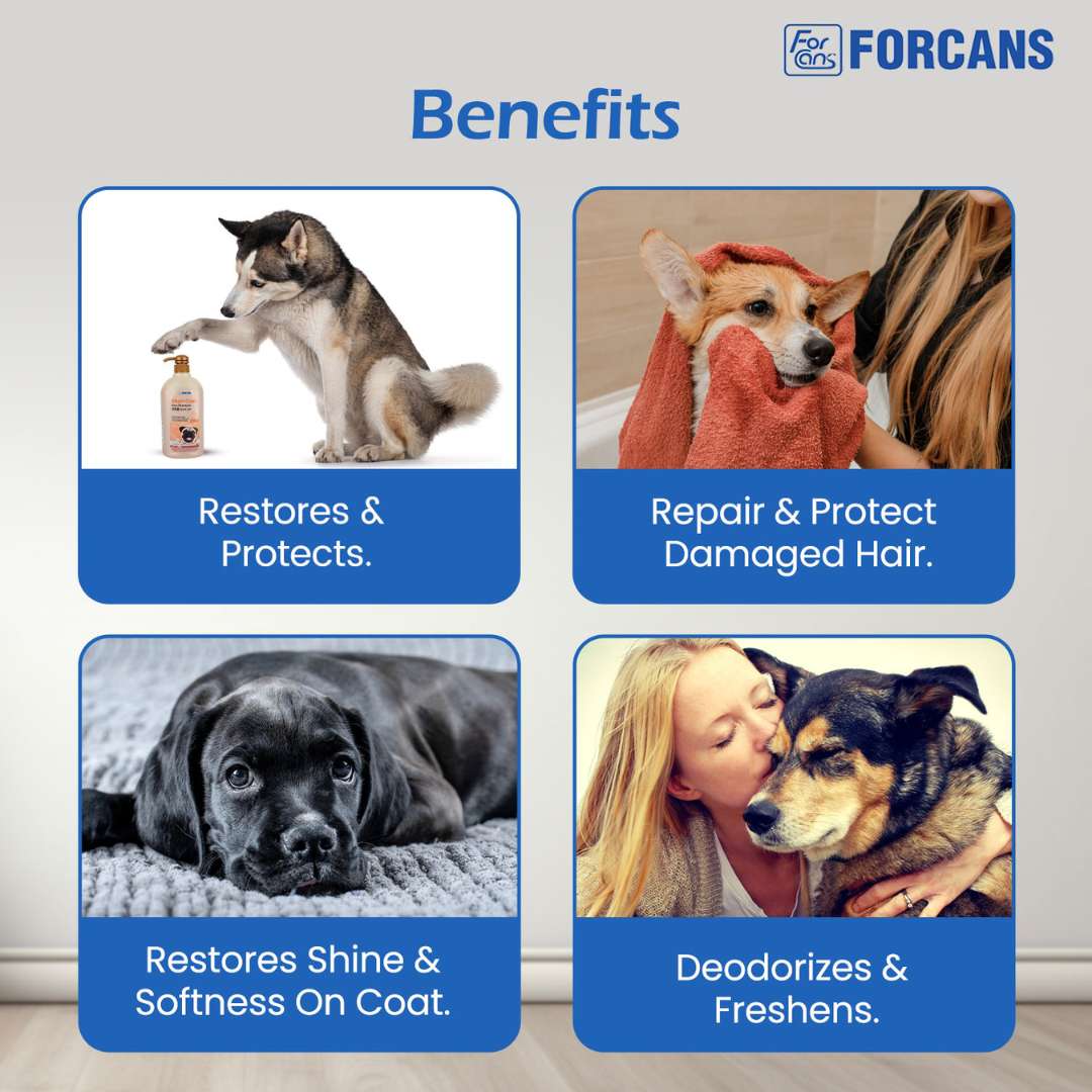 Forcans Short Coat Shampoo for Dogs 750 ml