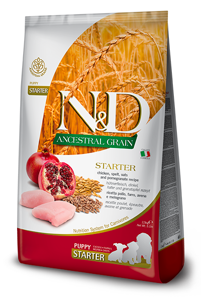 N&D Starter Dry Food for Puppy Dogs - Ancestral Grain