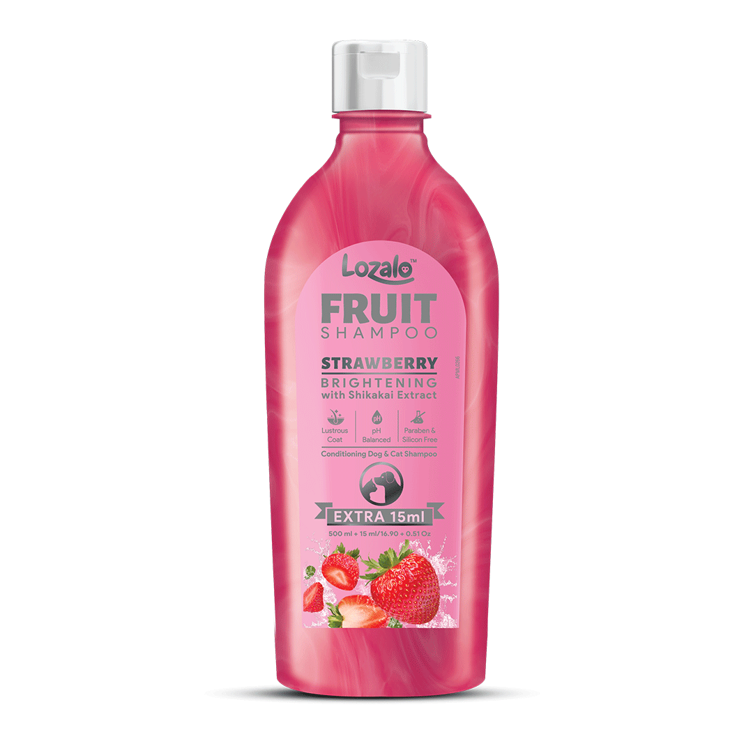 Lozalo Fruit Shampoo for Dogs & Cats 210 ml - Strawberry
