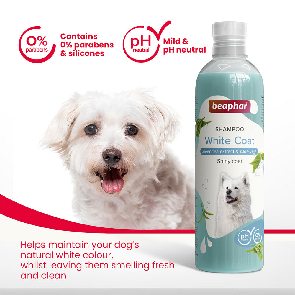 Beaphar White Coat Shampoo for Dogs 250 ml