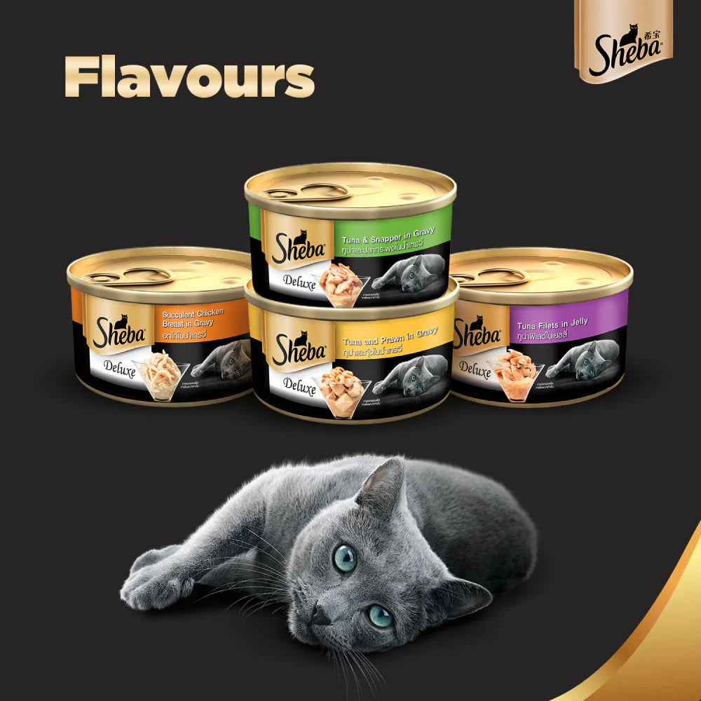 Sheba Premium Wet Food Gravy Tin For Cats - Tuna And prawn In Gravy