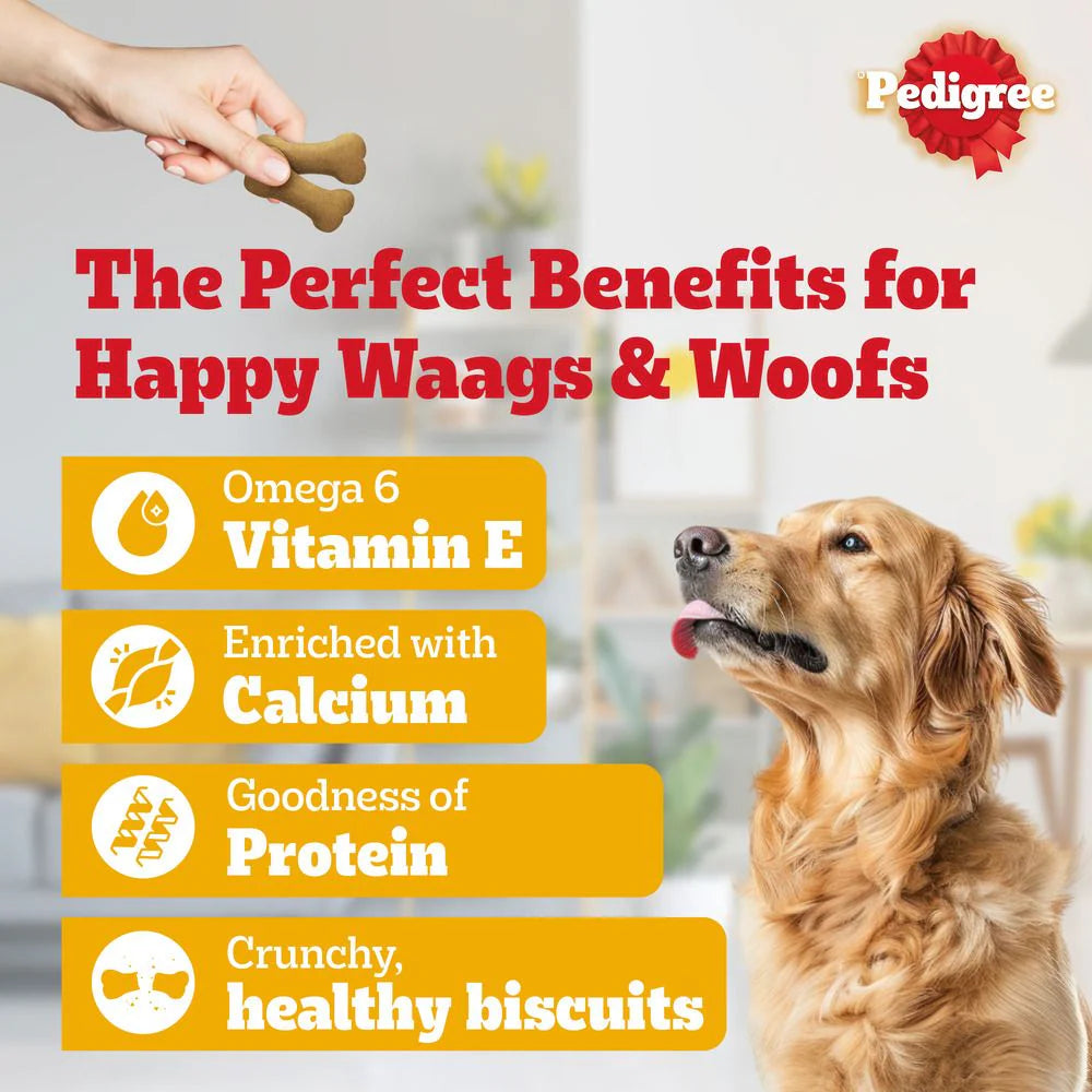 Pedigree Biscrok Biscuits For Dogs 900 gm Jar - Milk & Chicken