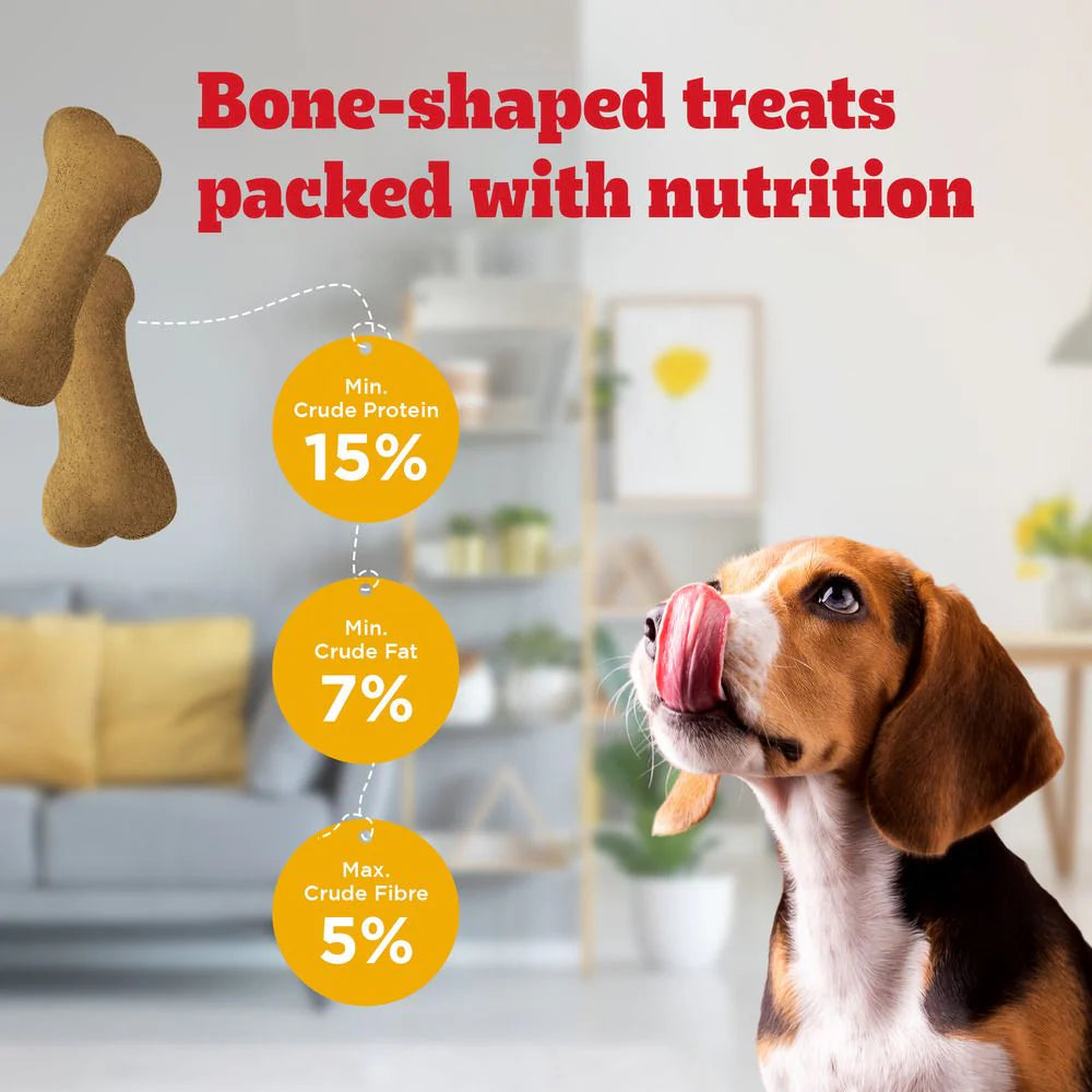 Pedigree Biscrok Biscuits For Dogs 900 gm Jar - Chicken