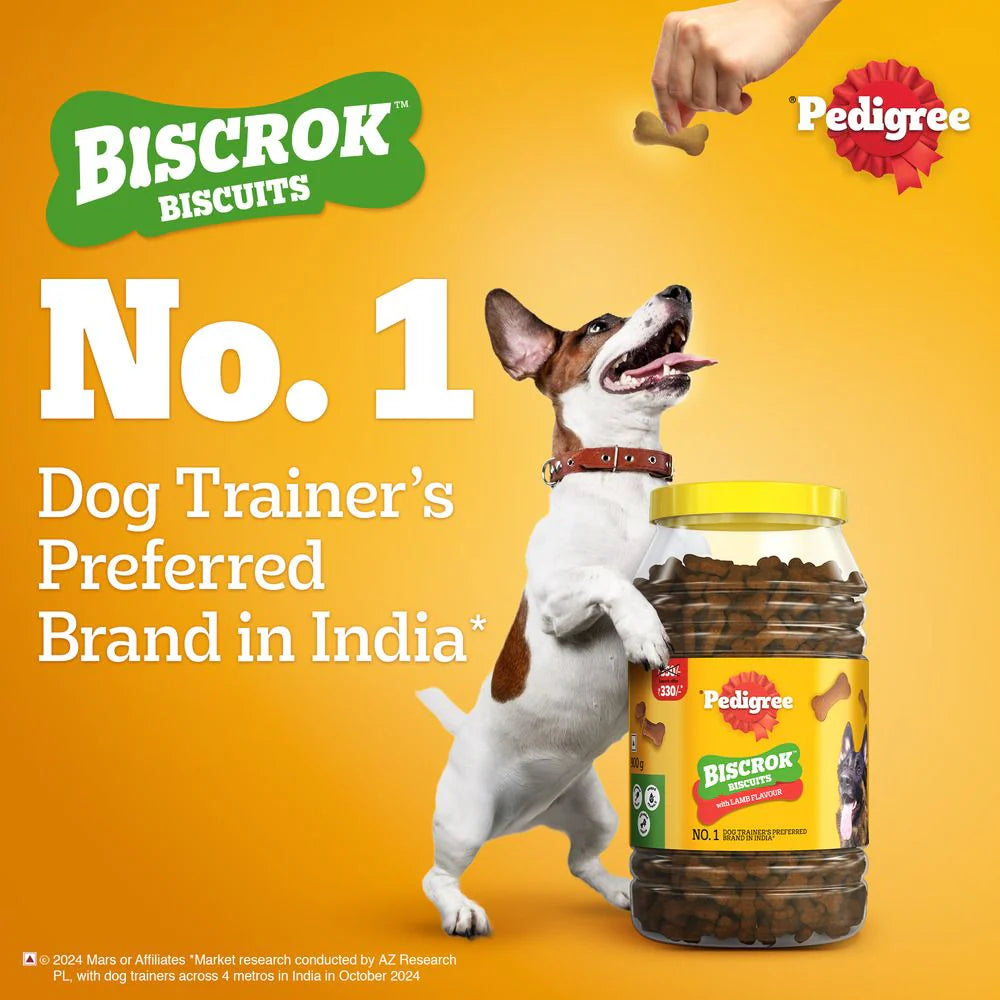 Pedigree Biscrok Biscuits For Dogs 900 gm Jar - Lamb