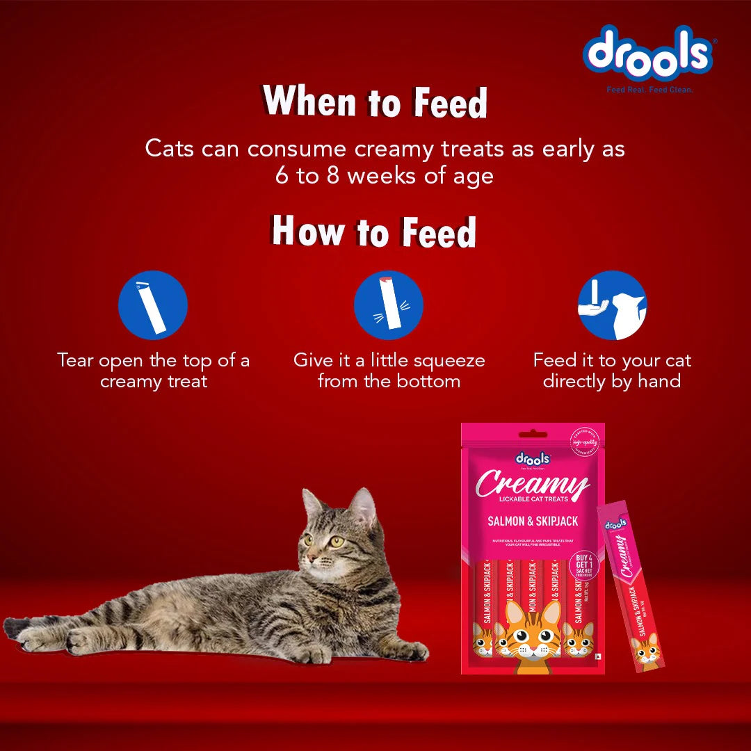 Drools Creamy Treats for Cats 5's - Salmon & Skipjack