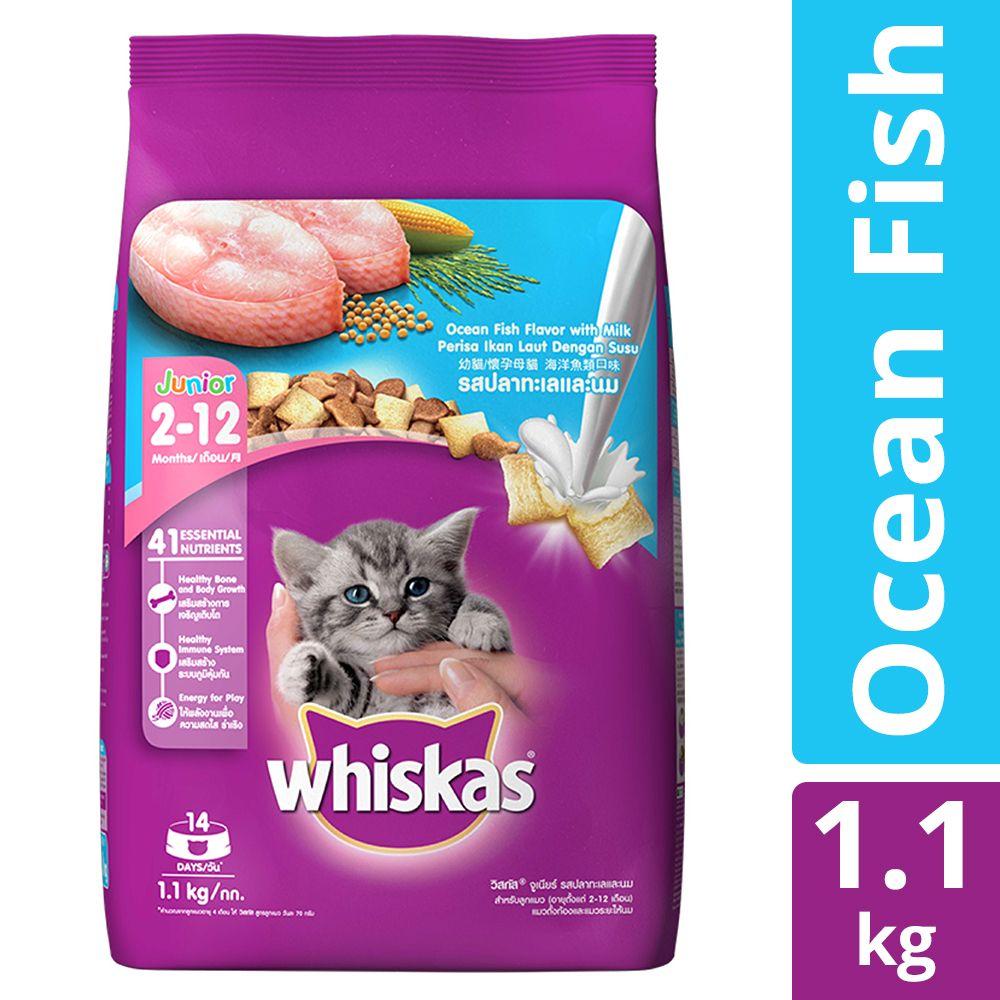 Whiskas Dry Food for Kitten - Ocean Fish