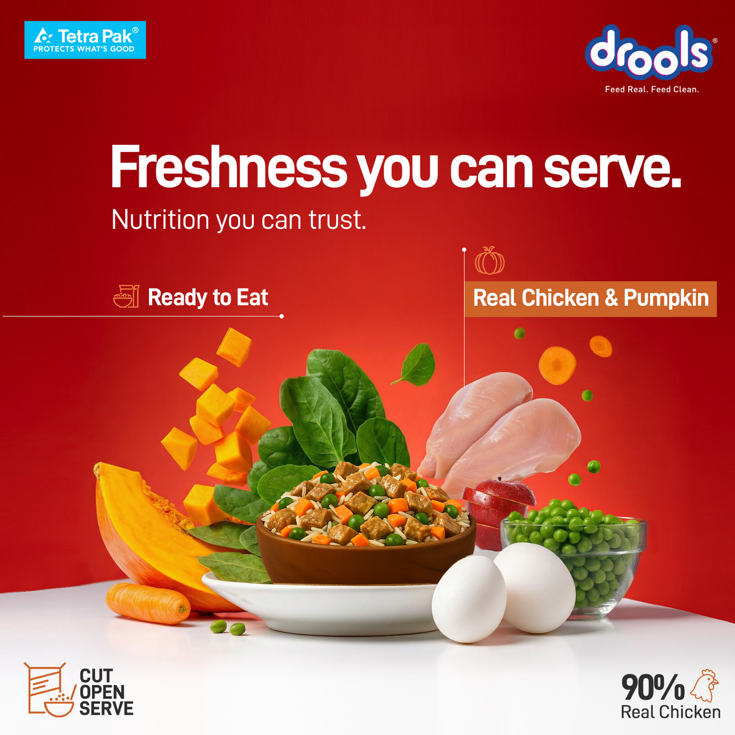 Drools Tetra Pack Real Chicken Pumpkin 350gm for Puppy / Dogs