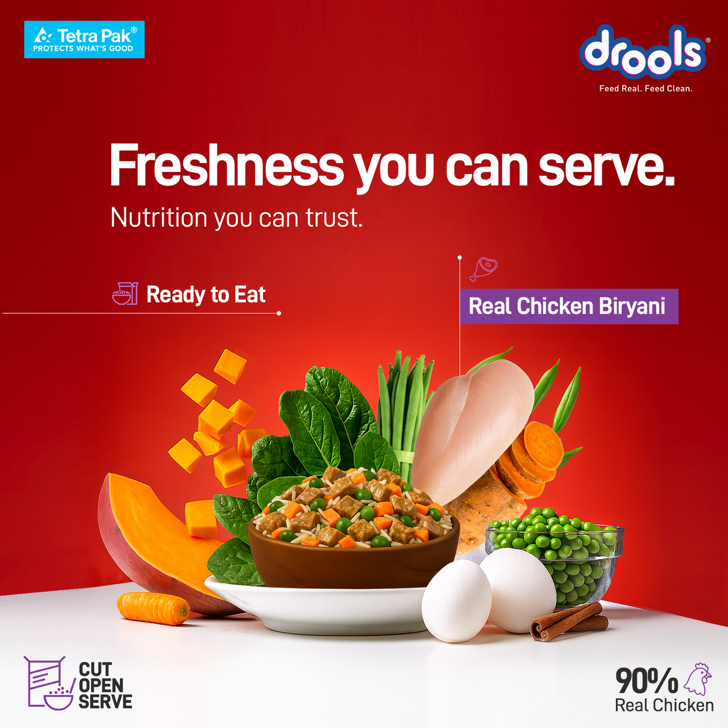 Drools Tetra Pack Real Chicken Biryani 350gm for Puppy / Dogs
