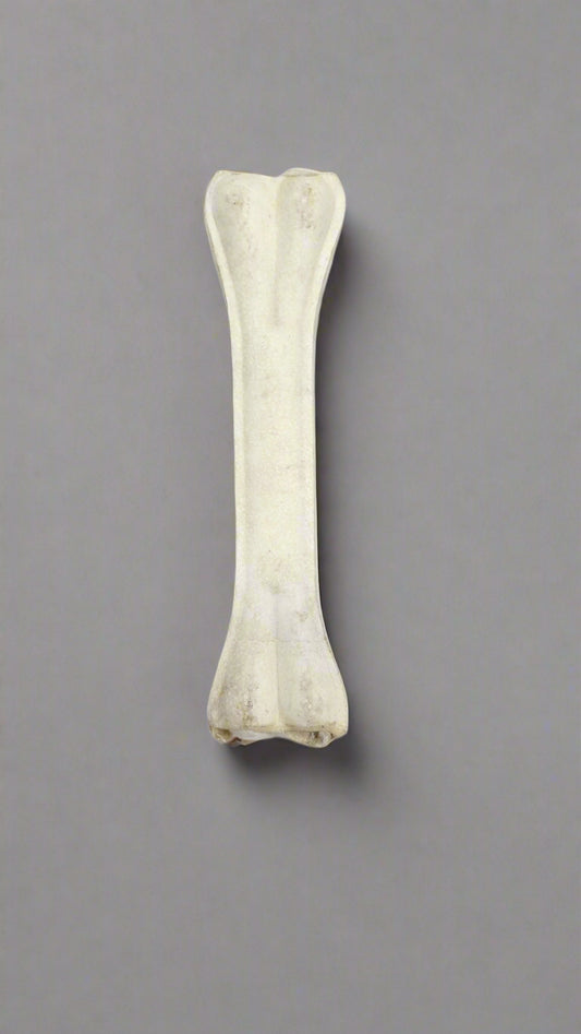 Rawhide Tough Chew Bones for Puppies & Dogs 8 inch - 1 pc