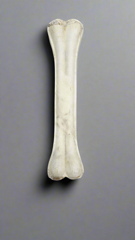 Rawhide Tough Chew Bones for Puppies & Dogs 10 inch - 1 pc