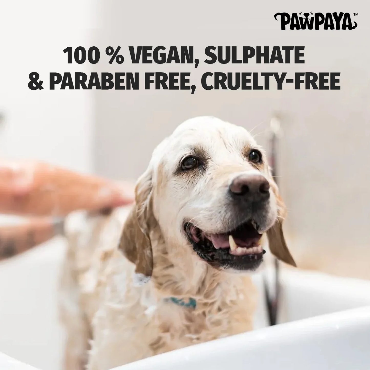 Pawpaya Anti Itch Shampoo for Dogs 250 ml