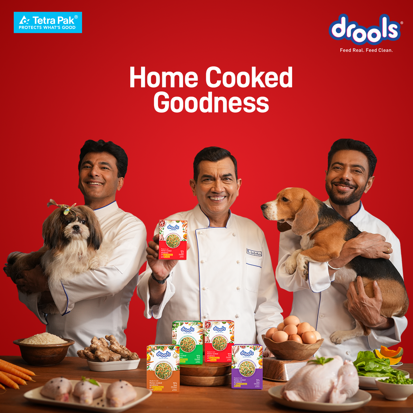 Drools Tetra Pack Real Chicken Biryani 150gm for Puppy / Dogs