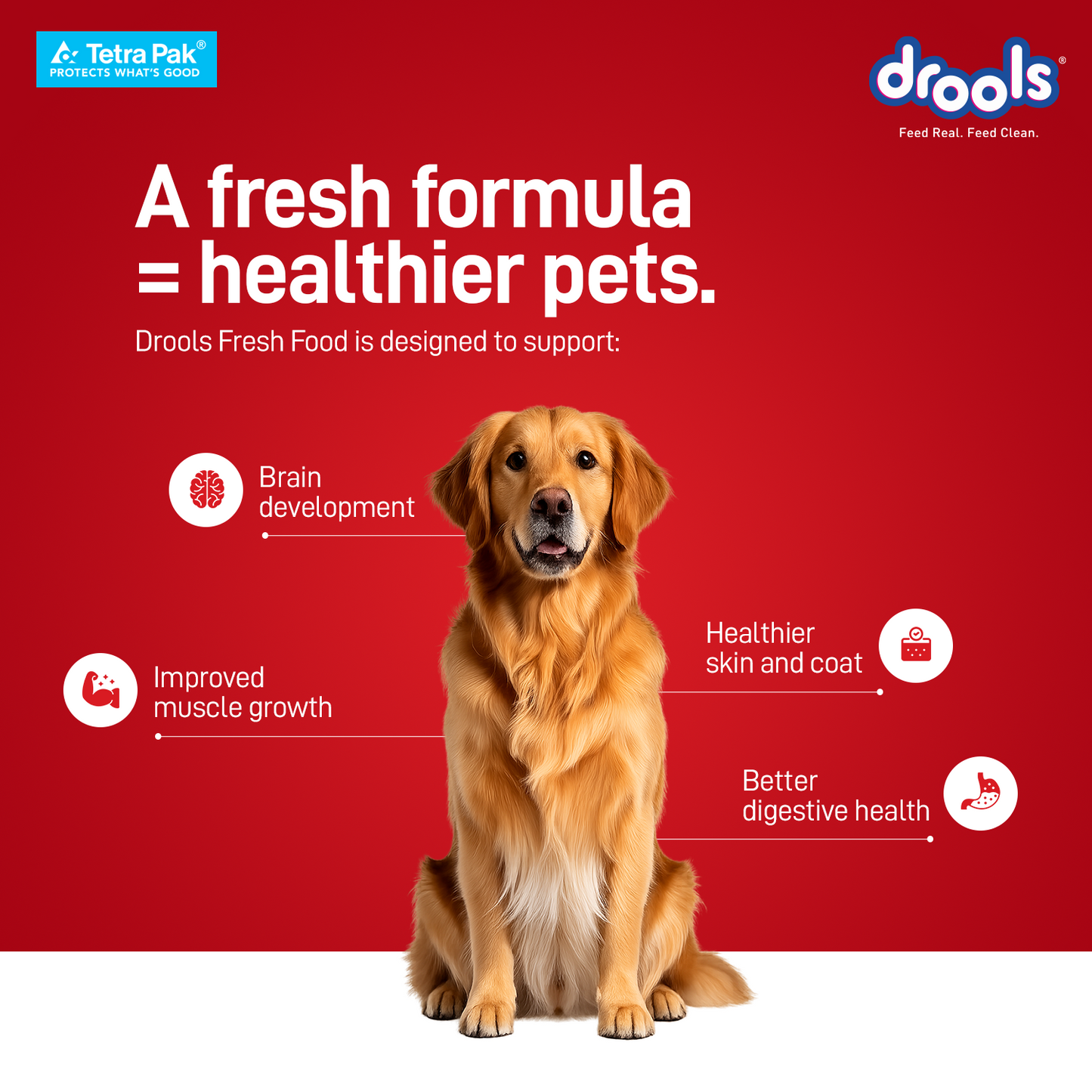 Drools Tetra Pack Real Chicken Turkey 150gm for Puppy / Dogs
