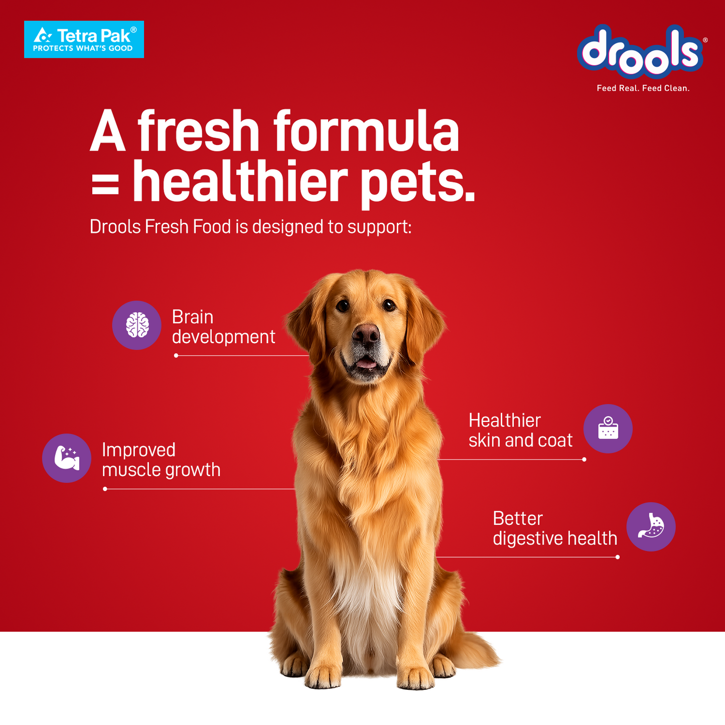 Drools Tetra Pack Real Chicken Biryani 150gm for Puppy / Dogs
