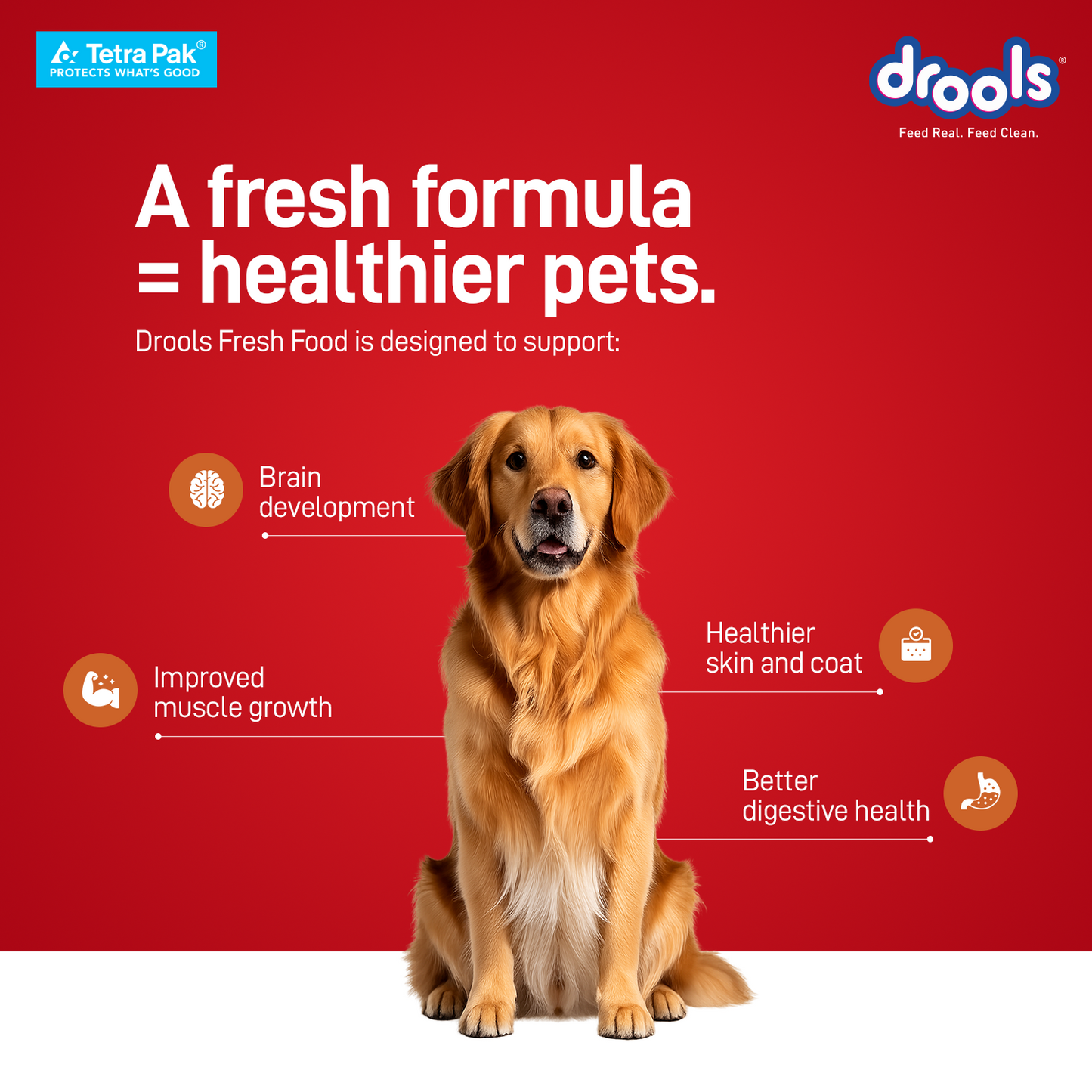 Drools Tetra Pack Real Chicken Pumpkin 150gm for Puppy / Dogs